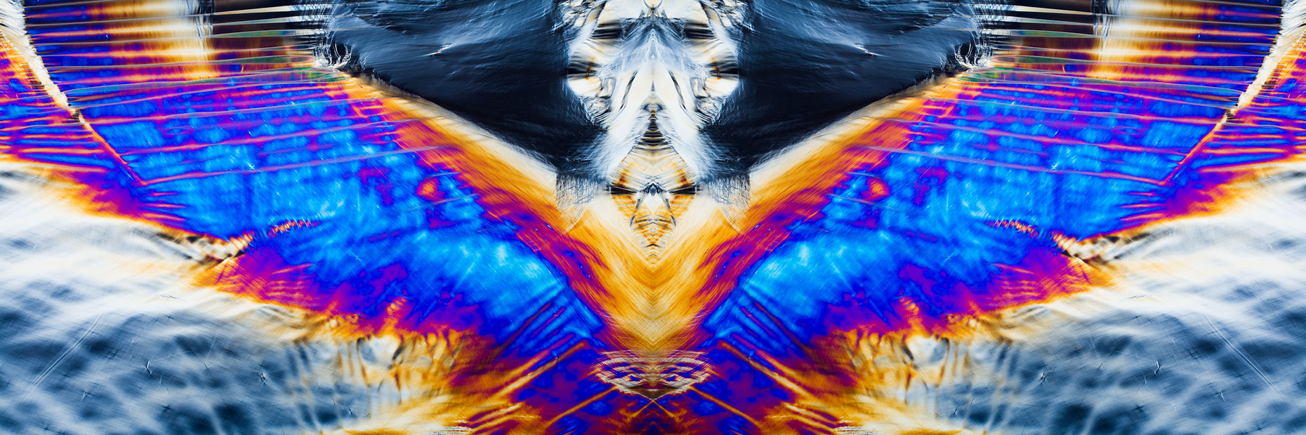 exp_0562_2